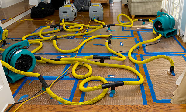 Professional Sewage Cleanup technician working in Wilmington, CA